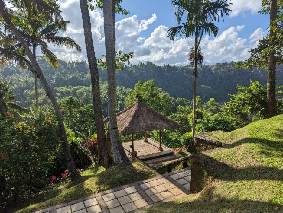 Ubud bali jungle view